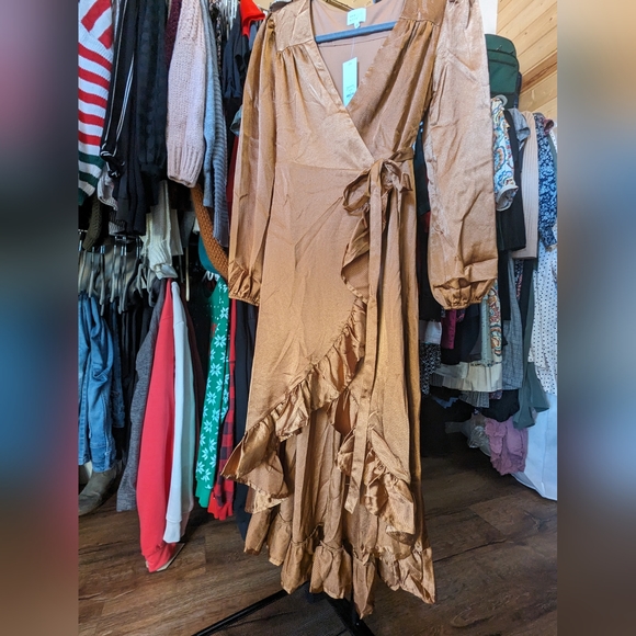 Copper Dress - Picture 5 of 9